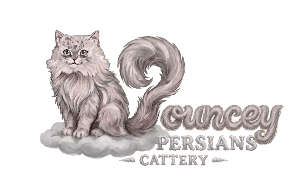 Pouncey Persians Cattery